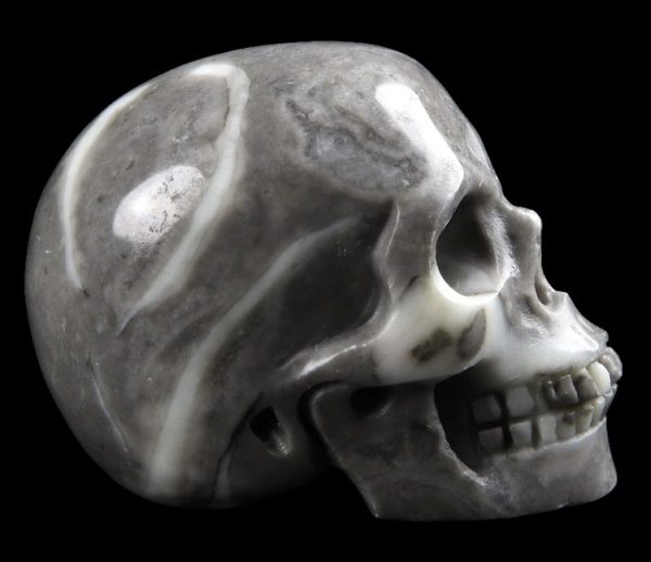 Fossil Stone Skull